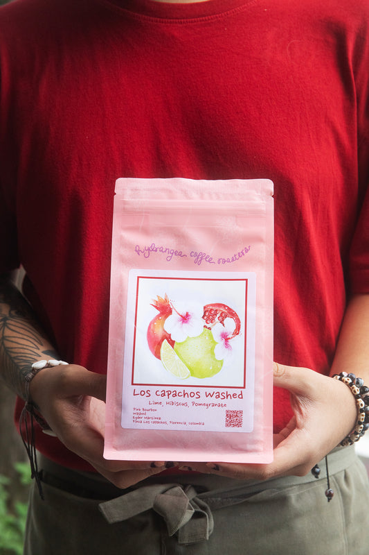 COLOMBIA, LOS CAPACHOS - HYDRANGEA