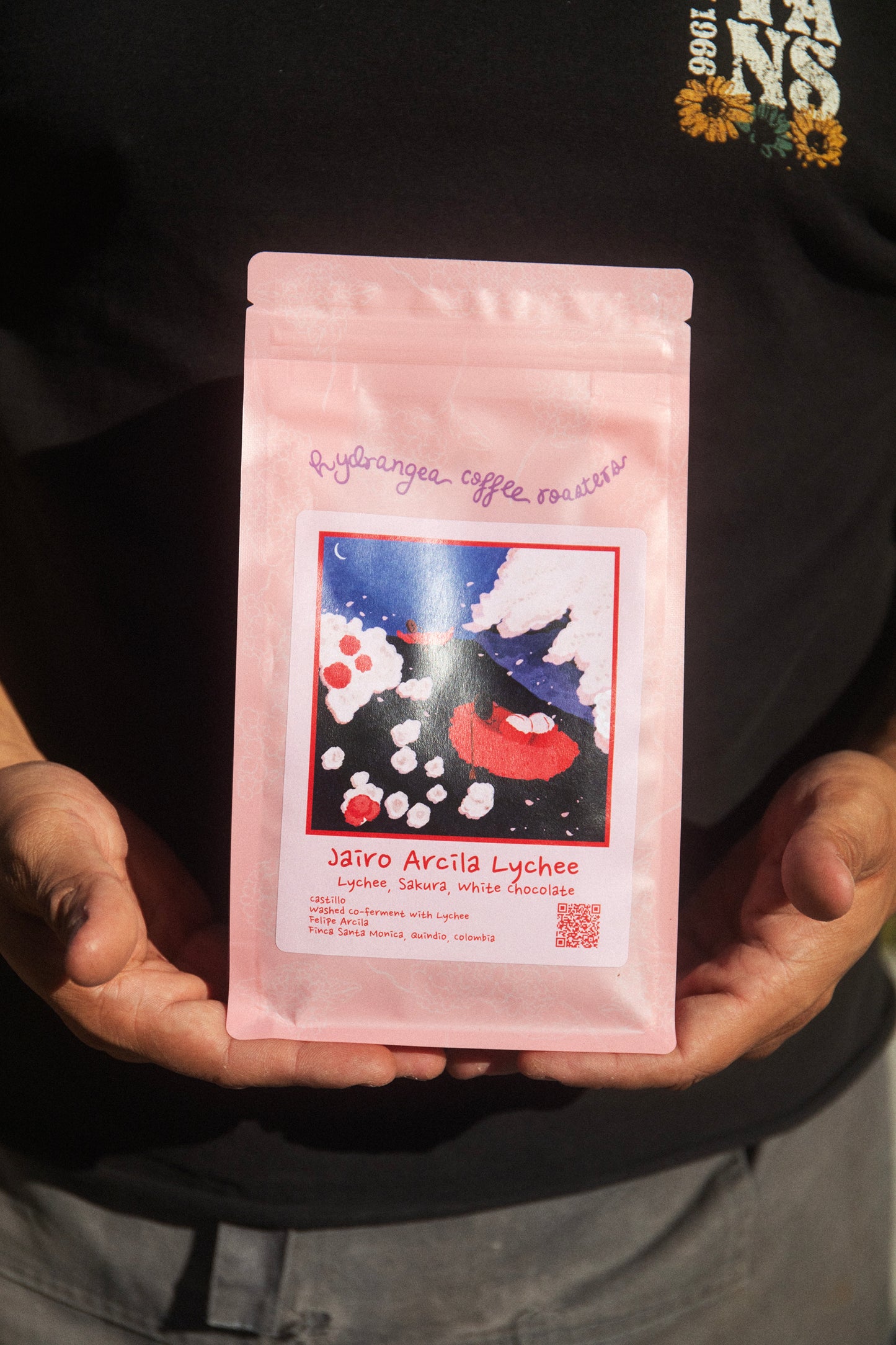 SANTA MONICA, COLOMBIA - HYDRANGEA