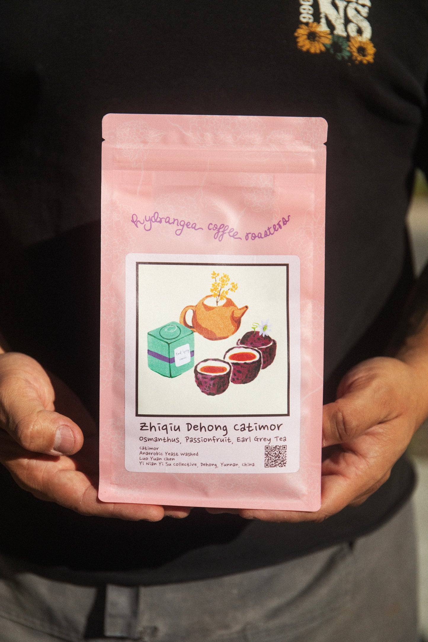 YI NIAN YI SU, CHINA - HYDRANGEA