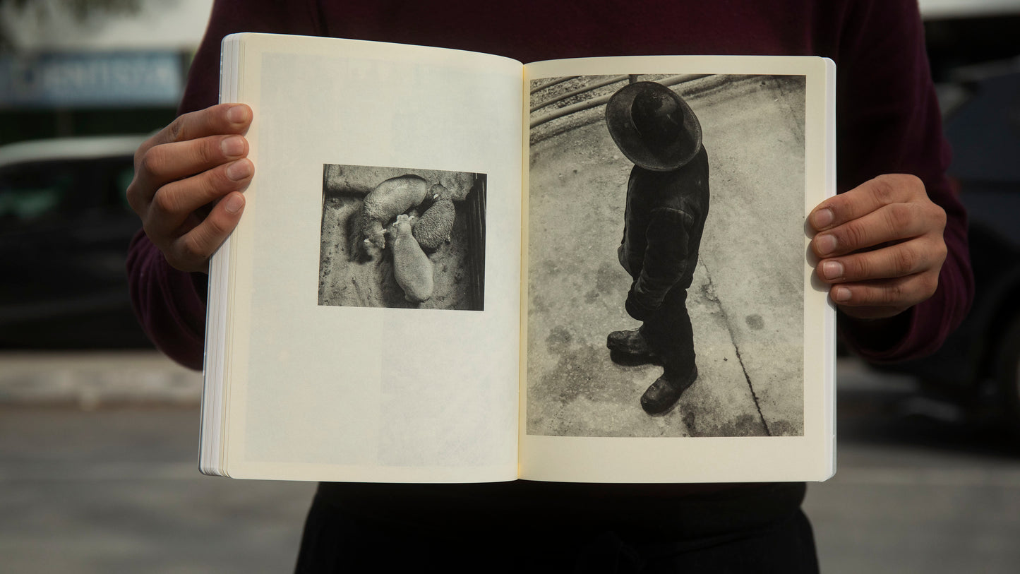 Snow - Vanessa Winship