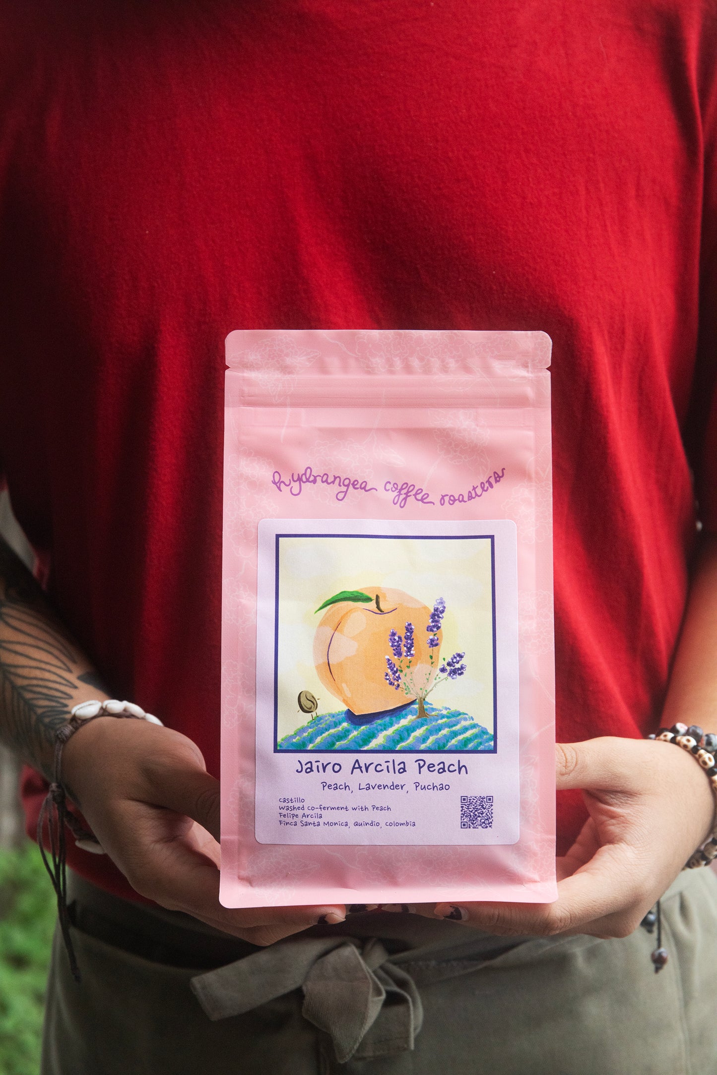 COLOMBIA, SANTA MONICA - HYDRANGEA