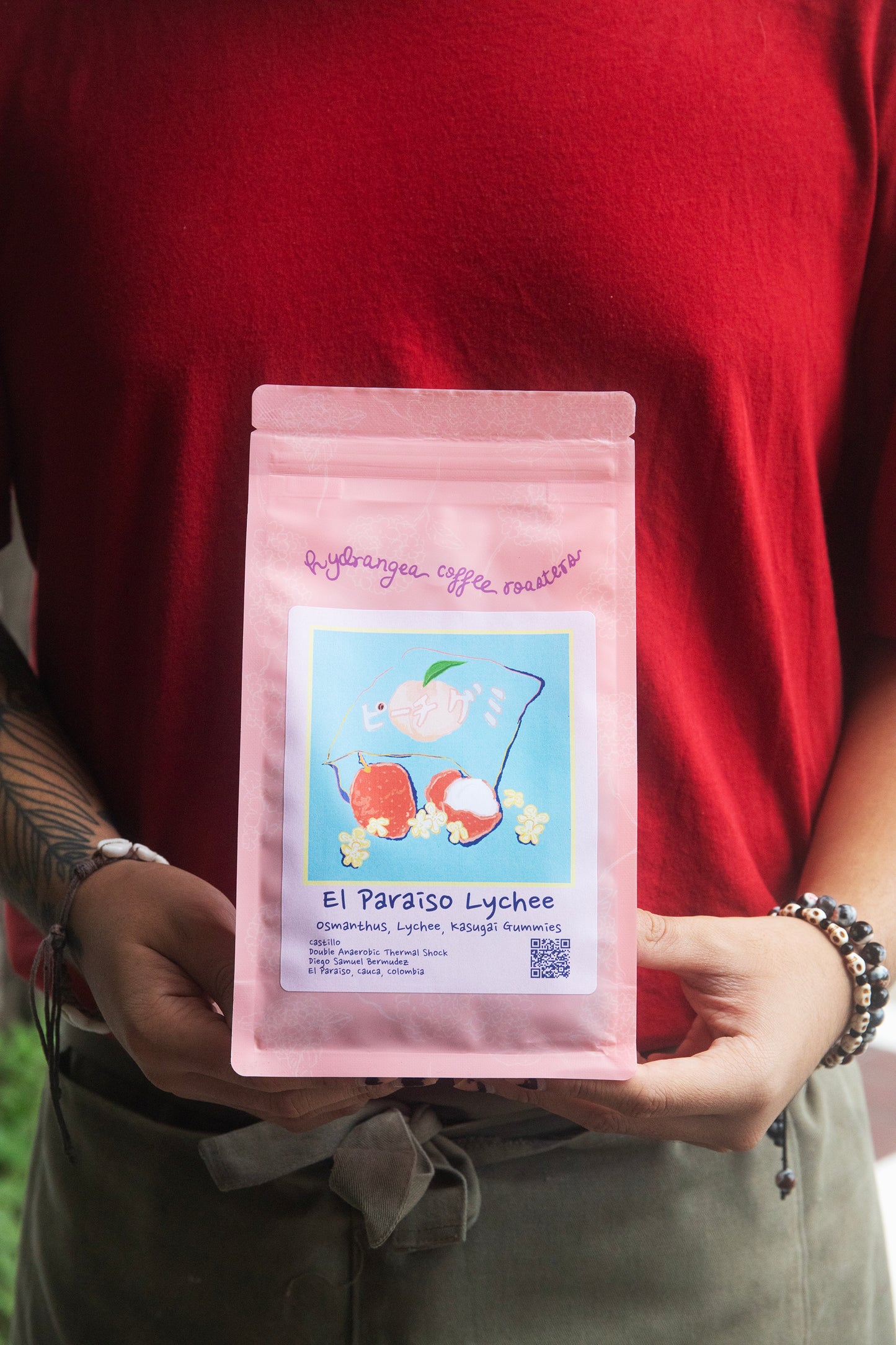 COLOMBIA, EL PARAISO - HYDRANGEA