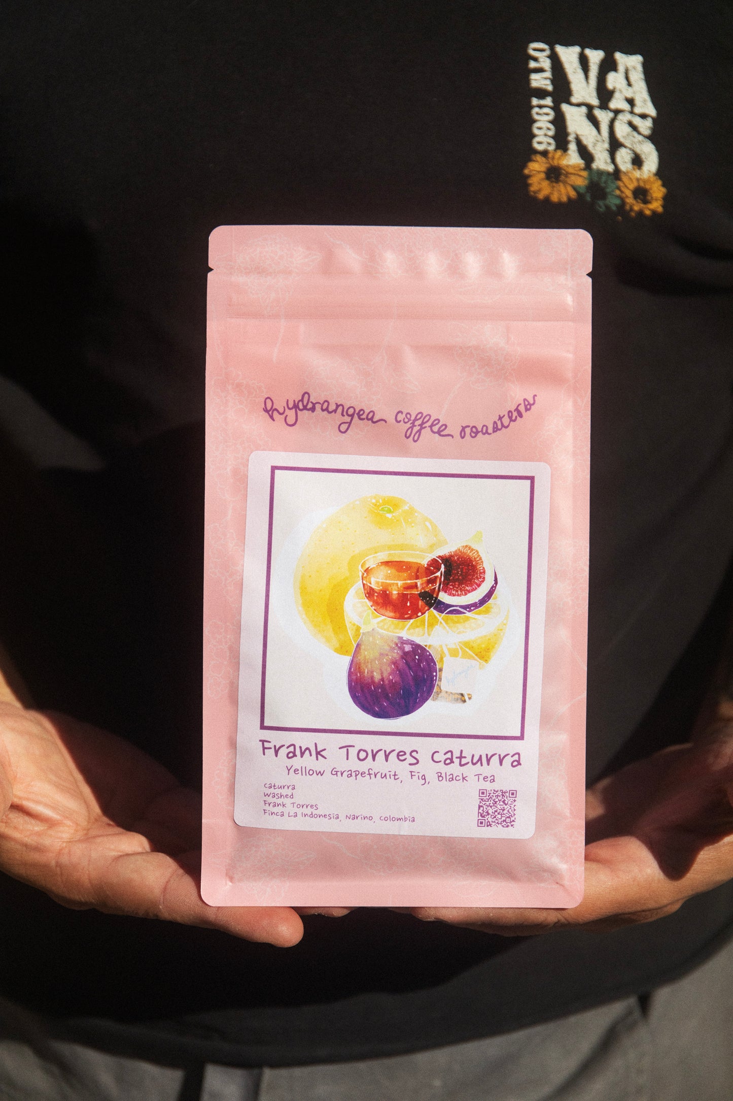 LA INDONESIA, COLOMBIA - HYDRANGEA