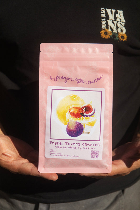 LA INDONESIA, COLOMBIA - HYDRANGEA